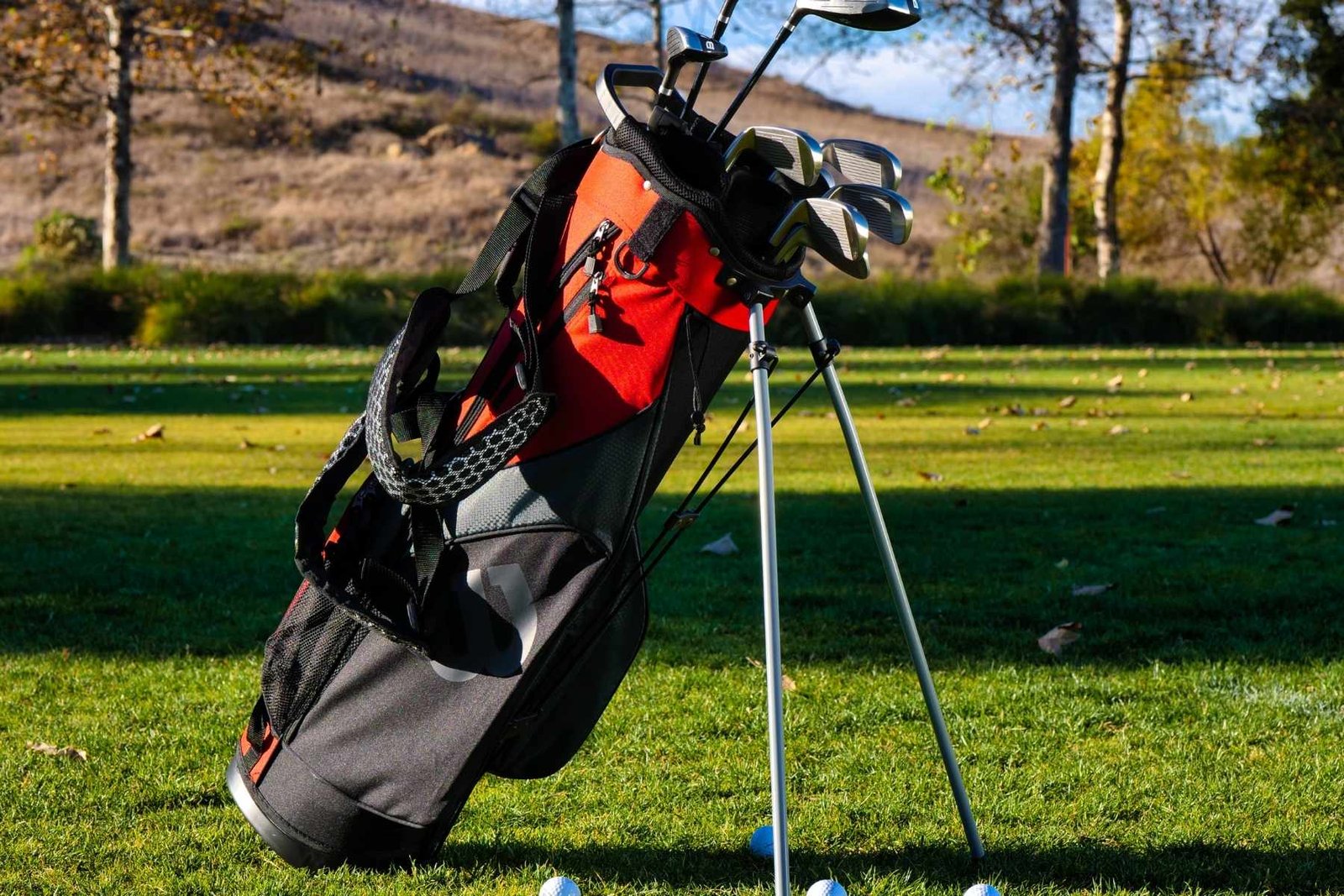 divi-cart-pro-about-2