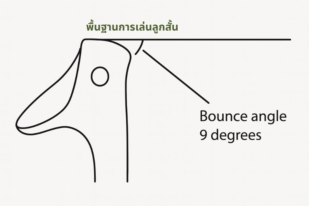 พื้นฐานการเล่นสูกสั้น พื้นฐานการเล่นสูกสั้น