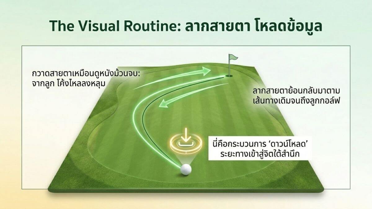 การกวาดสายตาจากเป้าหมายกลับมาที่ลูกกอล์ฟ เพื่อป้อนข้อมูลระยะทางให้สมอง